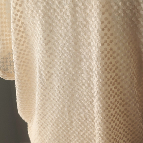 Embroidered Pure Silk Sheer Top - Picture 10 of 11